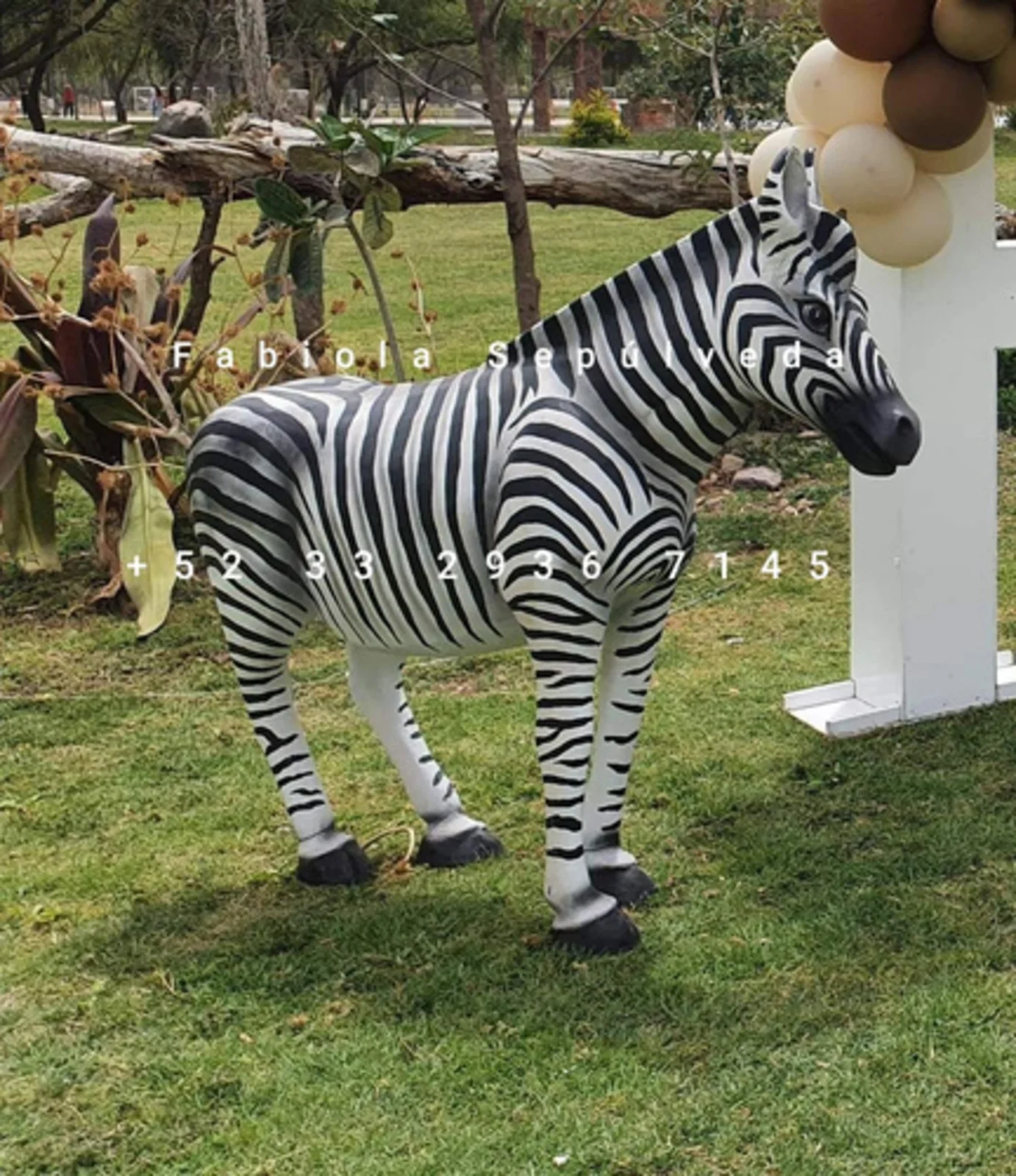 Burro/Cebra - Mexican handcrafted product