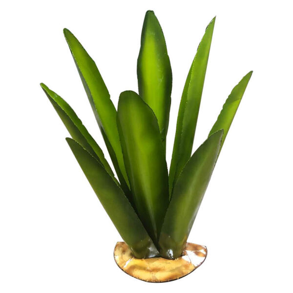 Agaves de laton