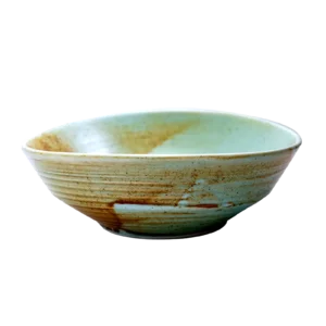 Tazon oval coral 8in